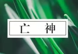 八字日柱有亡神好吗