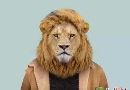 不怒自威的男人面相