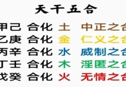 八字天干五合详解