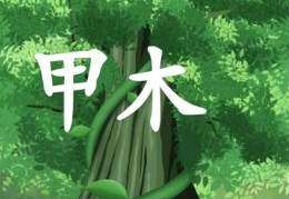 甲木日元的人喜忌如何看