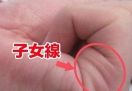 子女缘薄的手相特征