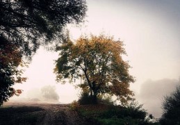 八字定五行干支旺衰