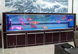 办公室鱼缸摆放风水禁忌