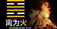 六十四卦：离为火卦详解