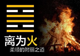 六十四卦：离为火卦详解