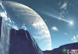 八字从强格详解大全