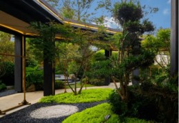 院子见不到阳光风水好吗（院子见不到阳光风水好吗视频）