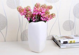 家里摆放空花瓶风水好吗