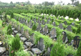 八字伤官生财格的喜忌