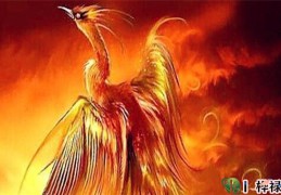 八字缺火怎么补