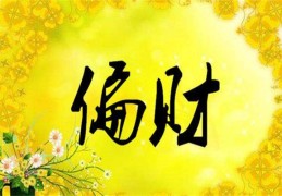 免费偏财运查询