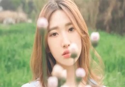 ​甲木女性格特征