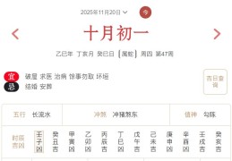 2025年11月20日每日五行穿衣指数解读搭配