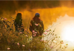 八字中神煞四废的含义？八字带四废代表什么？