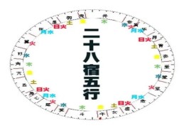风水二十八星宿五行