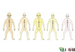 五型特征看身体胖好还是瘦好