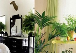 住宅如何布局风水聚财