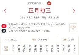 2025年1月31日每日五行穿衣指数解读搭配