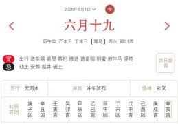 2026年8月1日每日五行穿衣指数解读搭配