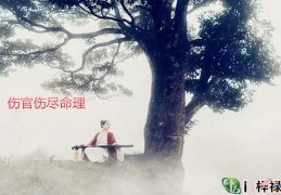 伤官伤尽命理特点全解