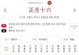 2025年2月13日每日五行穿衣指数解读搭配