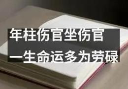 伤官在年柱代表什么意思