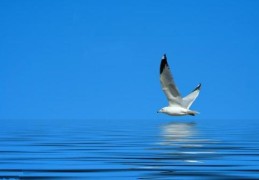 住宅犯空亡怎样化解