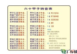 纳音五行断命口诀，八字纳音五行很重要吗