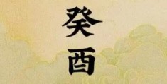 癸酉女命日柱婚姻如何，命格怎么样