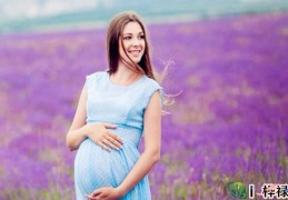 ​六爻免费测子女缘