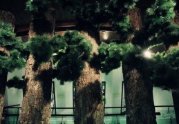 八字中的旺衰与通根详解（八字旺衰是什么意思）