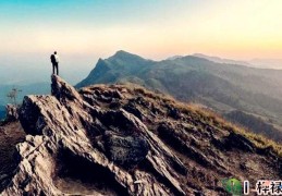 名利事业兼收的八字特点