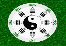 六爻阴阳五行