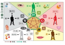 八字命局看健康技巧