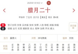 2025年1月19日每日五行穿衣指数解读搭配