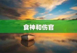 食神和伤官在各柱上的信息之象（食神和伤官都有）