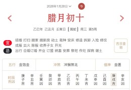 2026年1月28日每日五行穿衣指数解读搭配