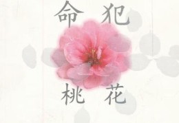 命犯桃花的含义，命犯桃花的八字特征