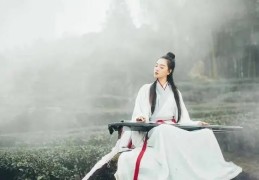 七杀羊刃都在地支好吗