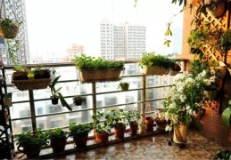 阳台风水看贫富