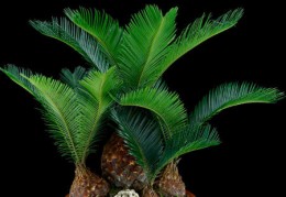 最近很倒霉要怎样改运