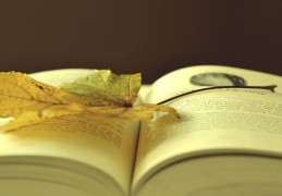 八字伤官被财星合化好吗