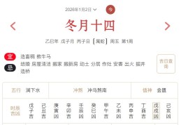 2026年1月2日每日五行穿衣指数解读搭配