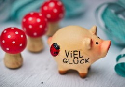 2024年最强的生肖猪是什么（2024年最强的生肖猪是什么生肖）