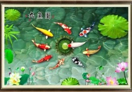 别墅快速聚财风水布局