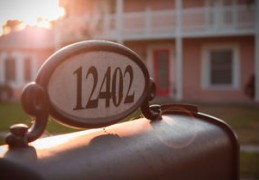 中华取名网姓名测试