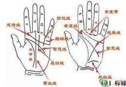 手相基础学：手相掌纹介绍