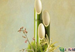 劫财格的八字能富贵吗，八字劫财格命局什么样