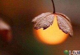 庚金日元生于各月