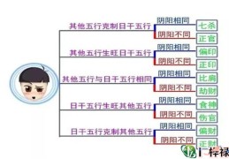 八字十神与日干的关系解读